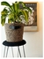 CESTO TURIN 18X18 - comprar online