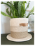 CESTO TRICOLOR VISON - tienda online