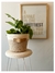 CESTO TURIN COMBINADO 18X18 - Renovar Deco