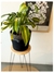PORTA MACETA 35CM CON BASE MADERA 23CM - comprar online