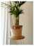 CESTO TURIN COMBINADO 18X18 - comprar online