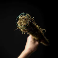 Tutor Kolog 45 cm - Alambre + Musgo en internet