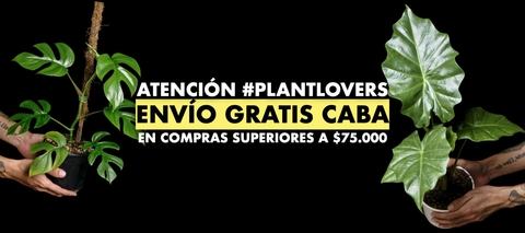 Carrusel Plantas Kolog