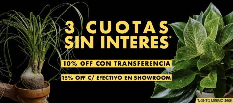 Carrusel Plantas Kolog = CALIDAD en Plantas de interior 