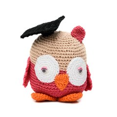 Coruja formanda em amigurumi - comprar online