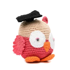 Coruja formanda em amigurumi na internet