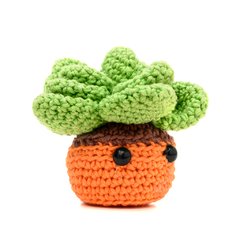 Planta Suculenta em amigurumi - Art Familiar Artesanato