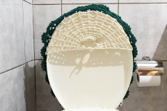 Conjunto de Banheiro com Flores na internet