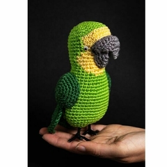 Papagaio em Amigurumi