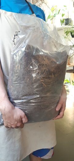 Substrato 10L tropical