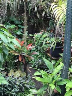 CURSO DE JARDINAGEM PARA APARTAMENTOS - 29 e 30 de março - loja online