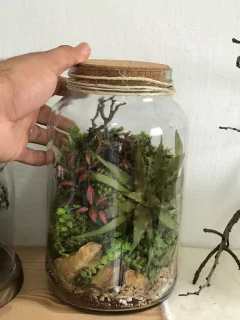 Terrário fechado gigante - plantas naturais - comprar online