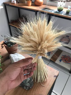 buquê / Arranjo - trigo - comprar online