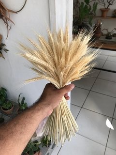 buquê / Arranjo - trigo na internet
