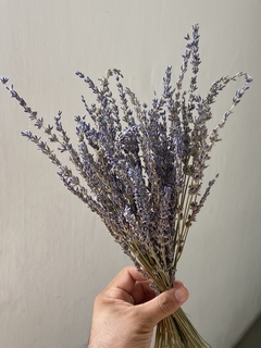 Buquê de Lavanda desidratada