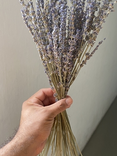 Buquê de Lavanda desidratada - comprar online