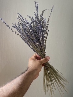 Buquê de Lavanda desidratada na internet