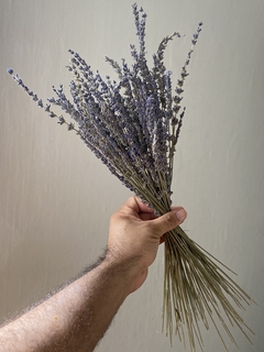 Buquê de Lavanda desidratada - Seu Flor