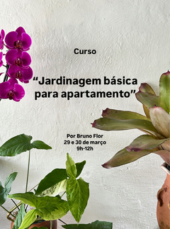 CURSO DE JARDINAGEM PARA APARTAMENTOS - 29 e 30 de março - comprar online