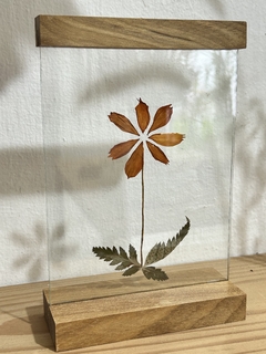 quadro botânico cosmos - de mesa - comprar online