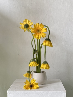 Oficina de Ikebana - Arte da Contemplação - comprar online