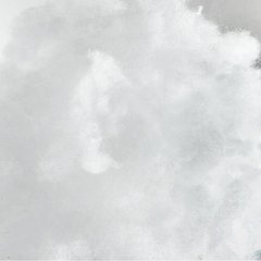Vellón Siliconado Premium Excelente Calidad x 1kg - comprar online