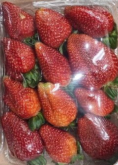 FRUTAS - MORANGO GRAÚDO - 250G