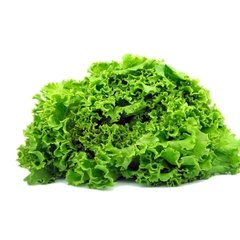 VEGETAIS - ALFACE CRESPA HIDROPONICA - UNIDADE