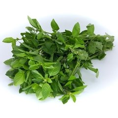 VEGETAIS - ALFAVACA MAÇO