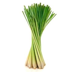VEGETAIS - CAPIM SANTO MAÇO