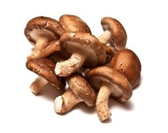 ORGÂNICO COGUMELO SHITAKE - 200g