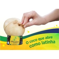 FRUTAS - COCO ÉDEN - ABRE COMO LATINHA - 1 UNID.