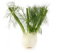 VEGETAIS - ERVA DOCE - 300g