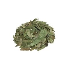 EMPÓRIO - EUCALIPTO GLOBULUS RASURADO - 100G