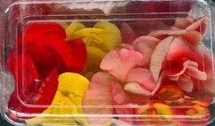 VEGETAIS - FLORES COMESTÍVEIS - 1 BANDEJA