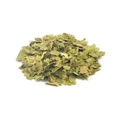 EMPÓRIO - CHÁ - FOLHA DE GRAVIOLA - 100G