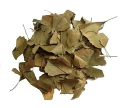 EMPÓRIO - FOLHA GINKGO BILOBA - 100G