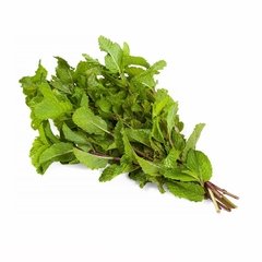 VEGETAIS - HORTELA - 1 MAÇO