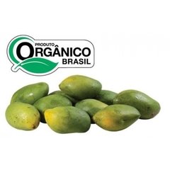 ORGÂNICO MANGA ESPADA 600G