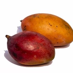 ORGÂNICO MANGA PALMER - 800G