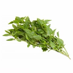 ORGÂNICO MANJERICÃO - 50g