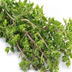 VEGETAIS - MANJERONA MAÇO