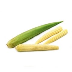 VEGETAIS - MINI MILHO 140g