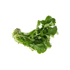 GOGREEN - MINI RÚCULA 80g