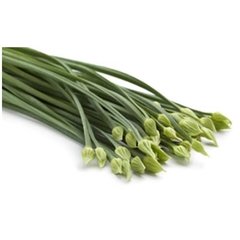 VEGETAIS - NIRÁ - MAÇO