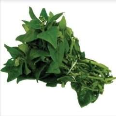 VEGETAIS - ORA PRO NOBIS - MAÇO - comprar online