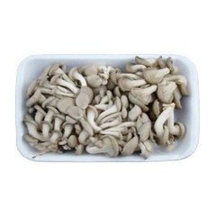 COGUMELO - SHIMEJI BRANCO - 200G