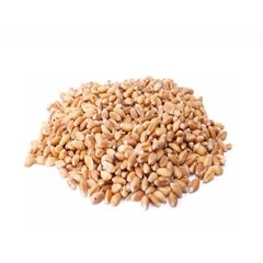 EMPÓRIO - TRIGO EM GRÃO - 100G