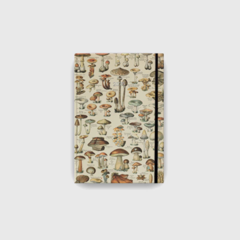 Agenda Diária 2026 Cogumelos, A5 - FolkBooks - comprar online