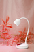 Cabina Flor - Paris Night en internet